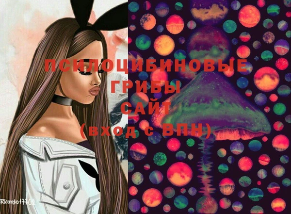 твердый Алексеевка