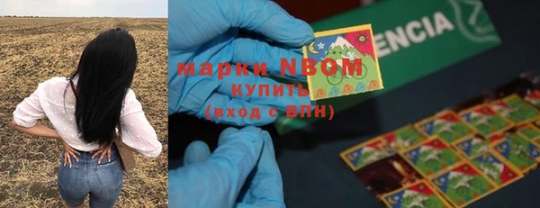 твердый Алексеевка