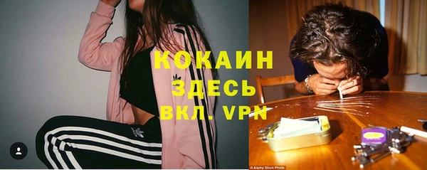 твердый Алексеевка