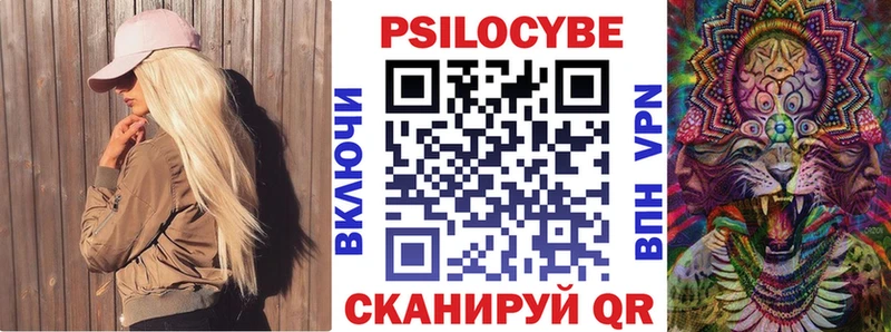 Псилоцибиновые грибы мицелий  где продают наркотики  Ржев 