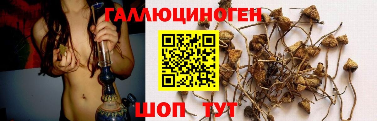 цены наркотик  Псилоцибиновые грибы прущие грибы  Вход с VPN  Ржев  Галлюциногенные грибы Magic Shrooms 
